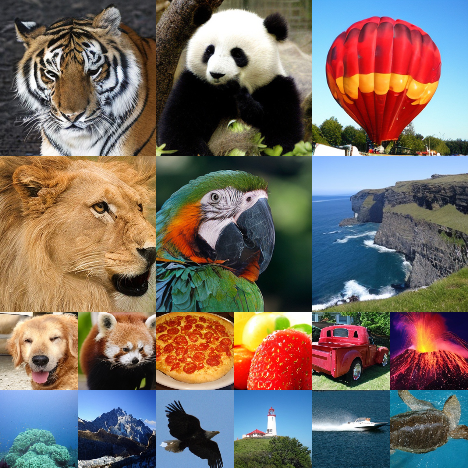 Qualitative results of NEPA-DiT-XL on ImageNet 256×256.